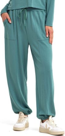 Threads 4 Thought Lottie Terry Sweatpants in Spearmint at Nordstrom, Size X-Small