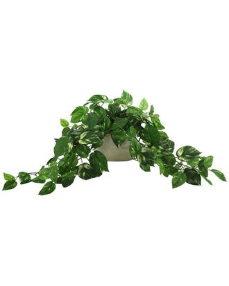 Creative Displays Inc. Pothos Arrangement In Ceramic Pot