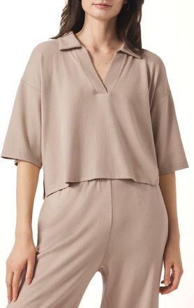 Splendid Brooke Johnny Collar Top in Fawn at Nordstrom, Size X-Large