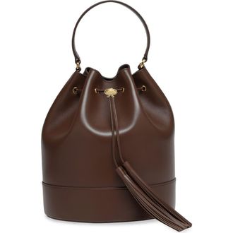 Gianvito Rossi Sienna 22 Crossbody Bag in Brown Calf Leather at Nordstrom, Size Medium
