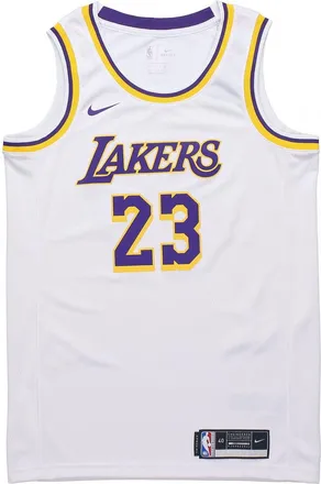 Nike NBA Leborn James Los Angeles Lakers 2020 Association Swingman Jersey 23 CW3595-101