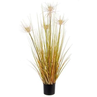 BIZZOTTO Bizzotto - Planta Des&eacute;rtica En Maceta X4f H9 - 0