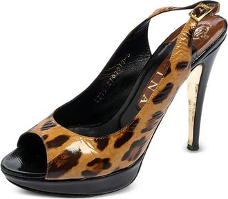 Gina 554946 Brown - Marrone