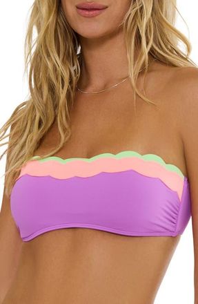 Beach Riot Sybil Scallop Colorblock Bikini Top in Radiant Wave Colorblock at Nordstrom, Size X-Small