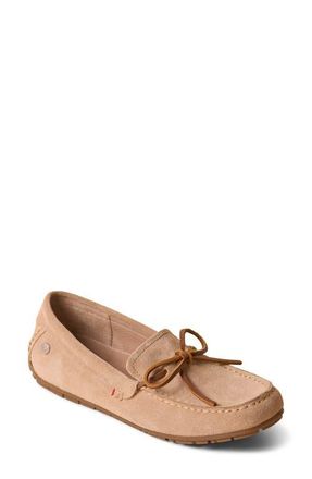 Minnetonka Moc Toe Driving Loafer in Sand at Nordstrom, Size 5.5