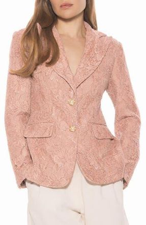 Alexia Admor Nyx Lace Blazer in Pink at Nordstrom Rack, Size 14