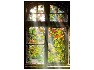 Schubiger M&ouml;bel Digitaldruck auf Acrylglas Fenster mit Laub 1