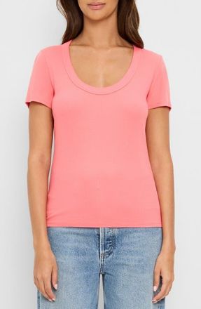 Michael Stars Calla Scoop Neck T-Shirt in Coral Sherbet at Nordstrom, Size X-Small