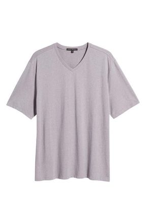 Robert Barakett Thoreau V-Neck T-Shirt in Purple at Nordstrom, Size Medium