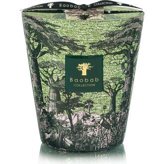 Baobab Max 16 Sacred Trees Mankano Scented Candle in Verbena/Lavender/Cedarwood at Nordstrom