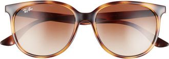 Ray-Ban 54mm Gradient Square Sunglasses in Havana /Gradient Brown at Nordstrom