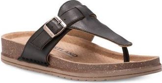 Eastland Brya Platform Wedge Flip Flop in Black at Nordstrom, Size 11