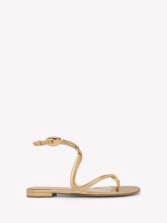 Gianvito Rossi Jungle Mamba Flat Sandals in Metallic Gold Leather at Nordstrom, Size 40.5