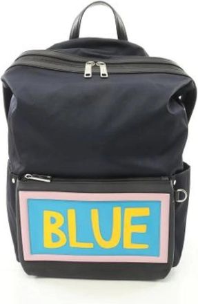 Fendi Pre-owned Backpacks, male, Blue, Size: ONE SIZE Pre-owned Leather fendi-bags