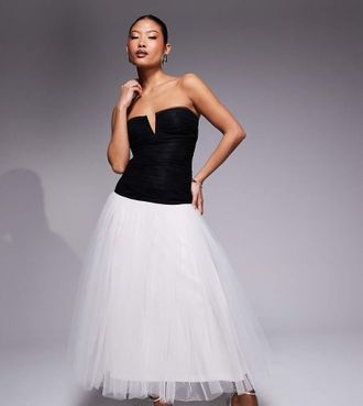 Lace & Beads Petite Vestito lungo con fondo sceso in tulle color nero e avorio a contrasto