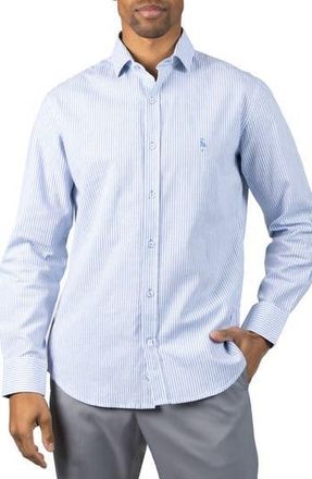 Tailorbyrd Stripe Linen Blend Button-Up Shirt in Light Blue at Nordstrom Rack, Size Xx-Large