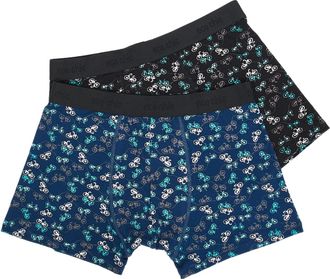 Eco Chic Mens Bamboo Boxers Breathable Hot and Cold Weather Underwear (Bikes Set of 2, XL)