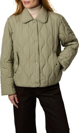 Bernardo Quilted Jacket in Sage at Nordstrom, Size Xx-Large
