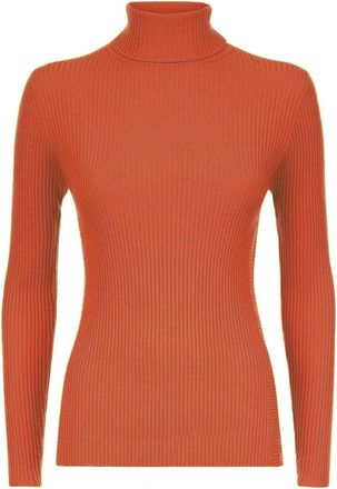 Generic Womens Long Sleeves Ribbed Turtle Polo Neck Top Available in Variety of Colors (as8, Numeric, Numeric_24, Numeric_26, Regular, Regular, Rust, 24-26)