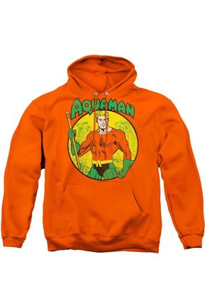 Gildan DC Comics Aquaman Adult Pull Over Hoodie / Hooded Sweatshirt
