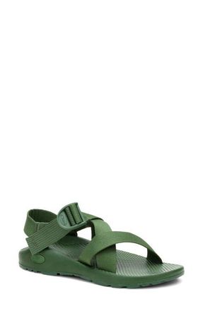 Chaco Mega Z Classic Sandal in Dark Ivy at Nordstrom, Size 11