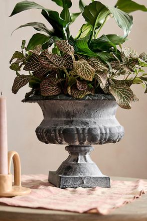 Terrain Low Cast Iron Urn Planter