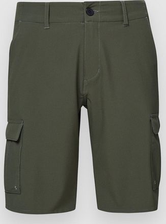 Oakley B1B Cargo Hybrid Shorts gr&uuml;n
