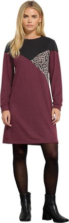 M&Co Petites Petite Black & Berry Colourblock Leopard Print Dress - Womens