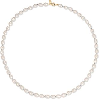EF Collection Freshwater Pearl Knot Necklace in 14K Yellow Gold/Pearl at Nordstrom, Size 16.5