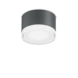 Netlighting Urano 1 Light Flush Ceiling Light Anthracite in Black