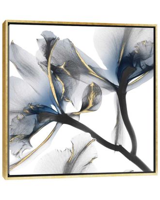 iCanvas Icanvas Indigo Luster Cyclamen Ii Framed Canvas By Albert Koetsier Wall Art