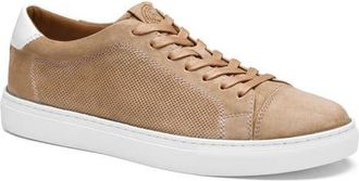 Johnston & Murphy Luther Perforated Leather Low Top Sneaker in Beige Italian Suede at Nordstrom, Size 10.5