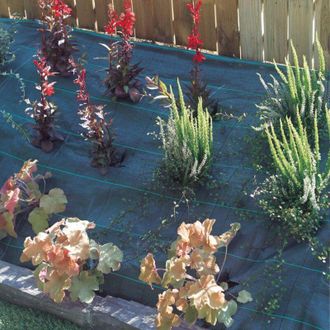 Nortene Nortene - Malla Antihierbas Groundsol 120 G Verde 4x100 M