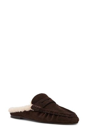 Steve Madden Rafe Faux Shearling Lined Mule in Chocolate Brown Suede at Nordstrom, Size 9.5