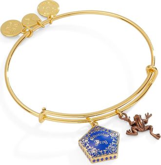 Alex and Ani Harry Potter Chocolate Frog Two-Charm Bangle Bracelet in Blue at Nordstrom