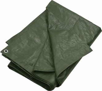 vidaXL Lona Hdpe Verde 180 G/m&sup2; 6x10 M Vidaxl
