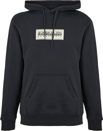 Napapijri Heren-hoodie van katoen met boxlogo en losse pasvorm (Blauw)