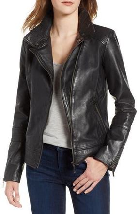 Bernardo Leather Moto Jacket in Black at Nordstrom Rack, Size Large