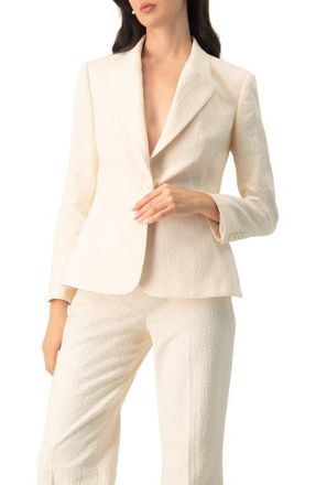 Ivonne Single-Breasted Textured Tailored Blazer in Natural at Nordstrom, Size 10