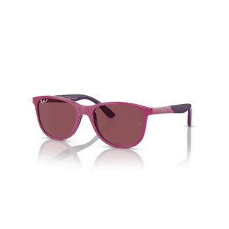 Ray-Ban Klassieke Zonnebril - unisex - Zonnebrillen - Roze - 49 MM - Accessoires