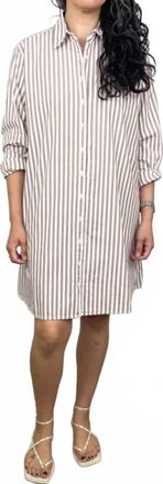 Xirena Bobby Shirt Dress In Cafe