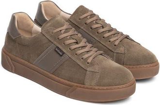 Nero Giardini Leather Low Top Sneaker in Toasted Taupe at Nordstrom, Size 41