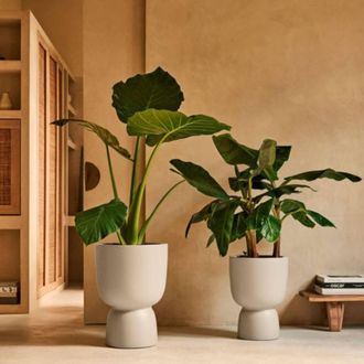 Charles Bentley Elho Amber Coupe 41 Beige Indoor & Outdoor Plant Pot