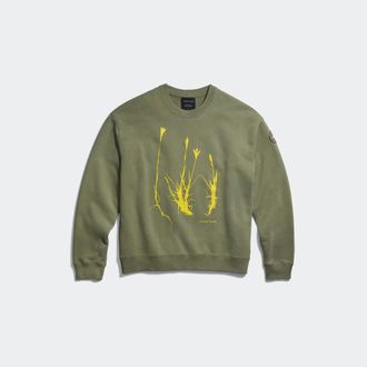 Canada Goose Wander Flower Sweatshirt (Women, Vireo Green, XL)