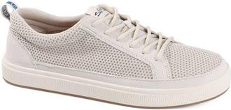 Salt Life The Coast Sneaker in Taupe /Taupe at Nordstrom, Size 12