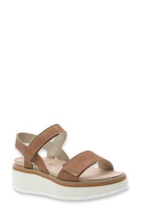 Naot Meringue Wedge Sandal in Latte Brown Leather W/Camel at Nordstrom, Size 5Us