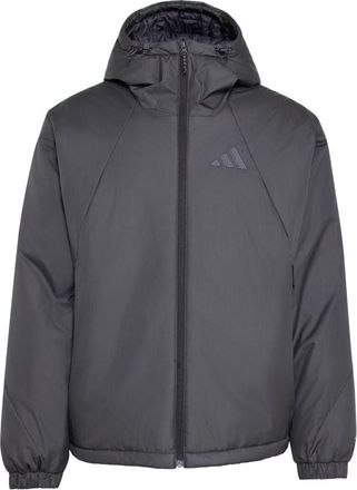 adidas Terrex Multi PrimaLoft Insulated Hooded Jacket Asia Sizing Black KS0831