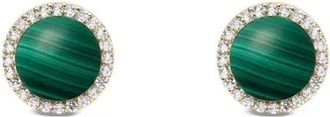 Daniel Wellington Earrings - Accessories - Mujer - Amarillo - ONE SIZE