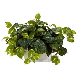 Nearly Natural Pothos with White Wash Planter Artificial Plant in Green at Nordstrom