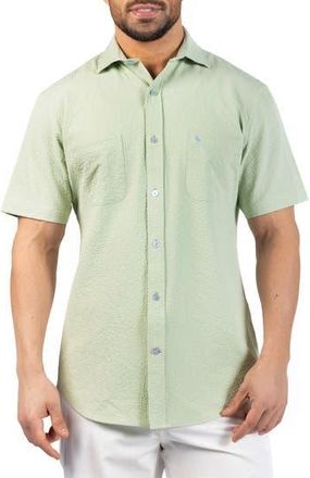 Tailorbyrd Seersucker Short Sleeve Button-Up Shirt in Sage at Nordstrom Rack, Size Xxx-Large